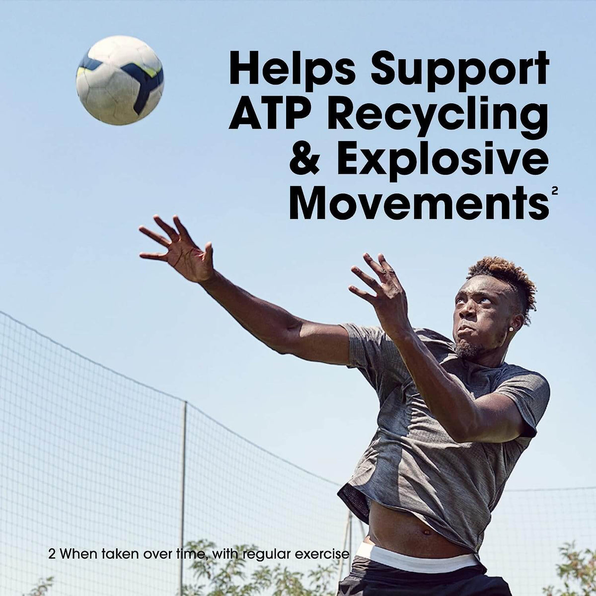 Optimum Nutrition Micronized Creatine Powder 300 Gr Creatinas onelastrep.cl