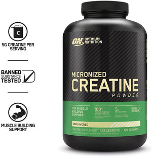 Optimum Nutrition Micronized Creatine Powder 600 Gr Creatinas onelastrep.cl