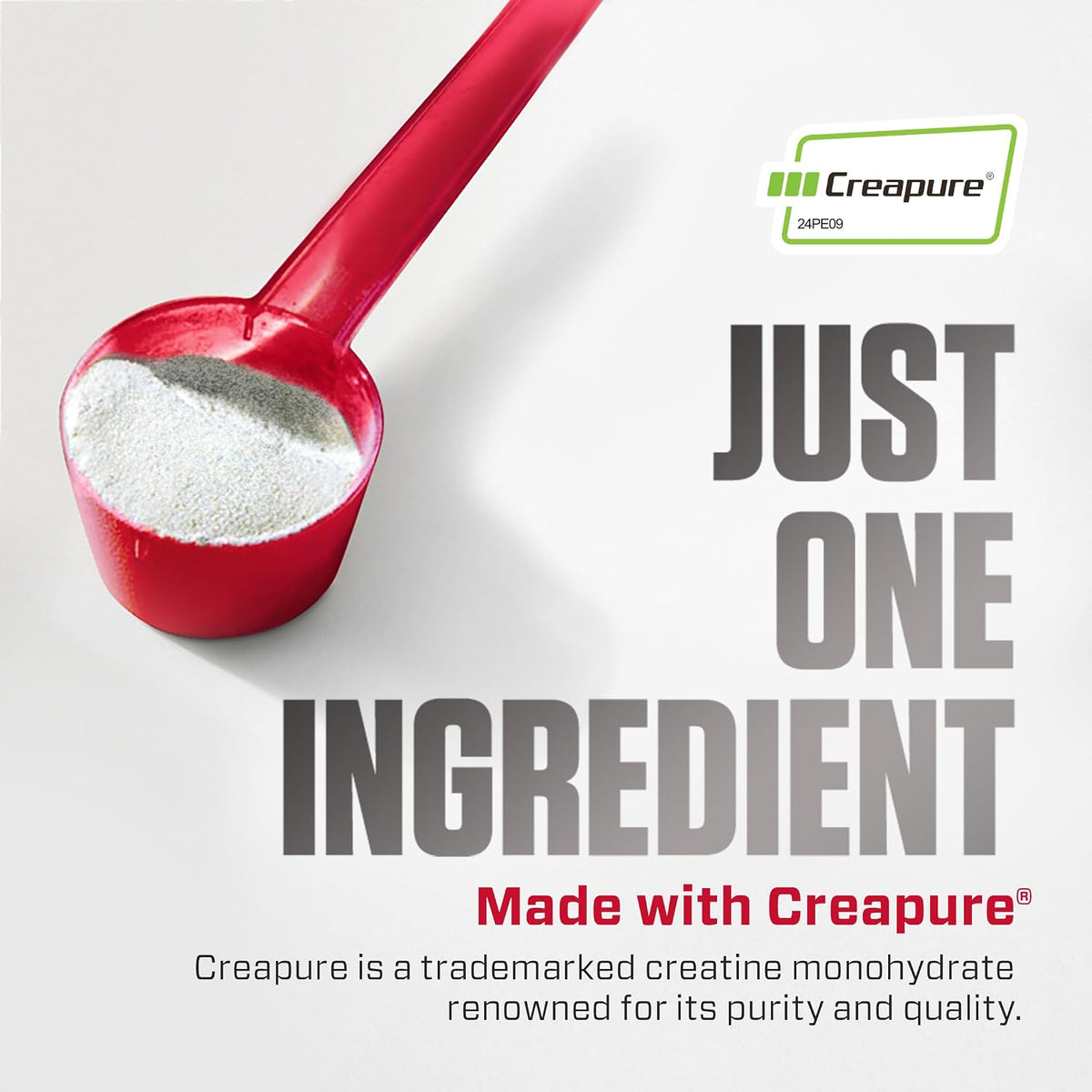 Dymatize Creatine Monohydrate Red [Creapure®] - 300 Gr
