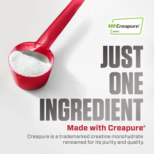 Dymatize Creatine Monohydrate Red [Creapure®] - 300 Gr