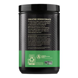 Optimum Nutrition Micronized Creatine Powder 600 Gr