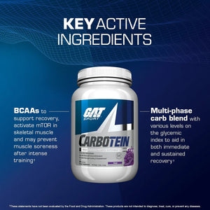 GAT Sport Carbotein Carbohidratos 50 Servicios Carbohidratos onelastrep.cl