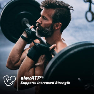 Cellucor P6 Alpha Precursor Natural Testosterona 60 Capsulas Precursor Natural Testosterona onelastrep.cl