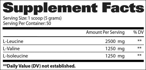 GAT Sport BCAA Powder 50 Servicios BCAA's onelastrep.cl